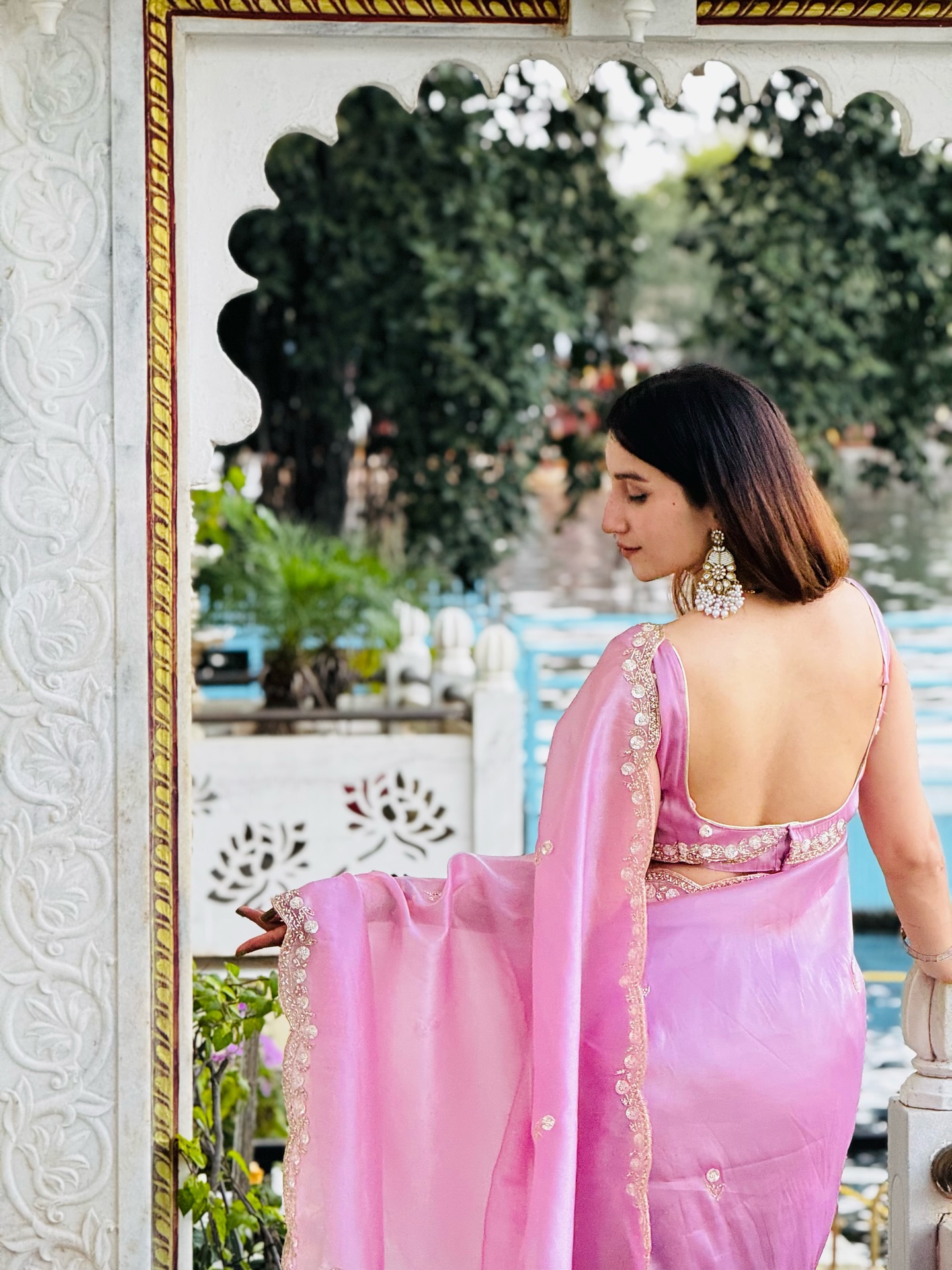 Saree back profile